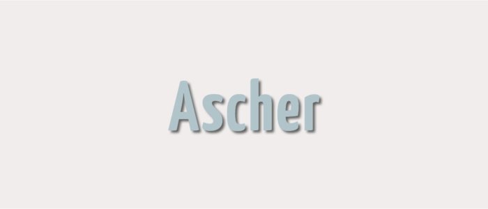 Kategoriebild zu Ascher