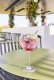 Glasserie "Symetrie" Cocktailglas 580ml (3)